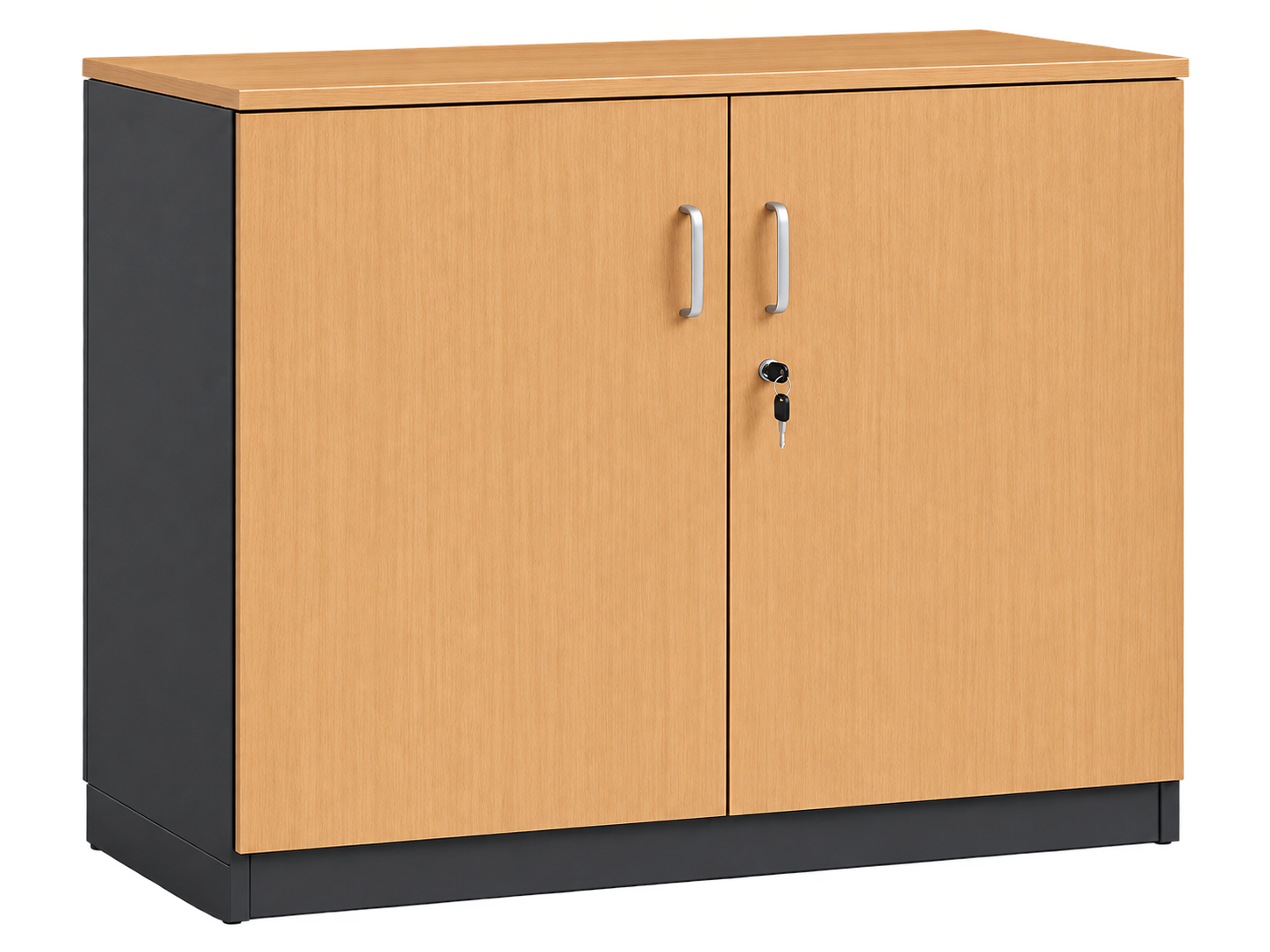 Lockable Two-Door Office Storage Cabinet