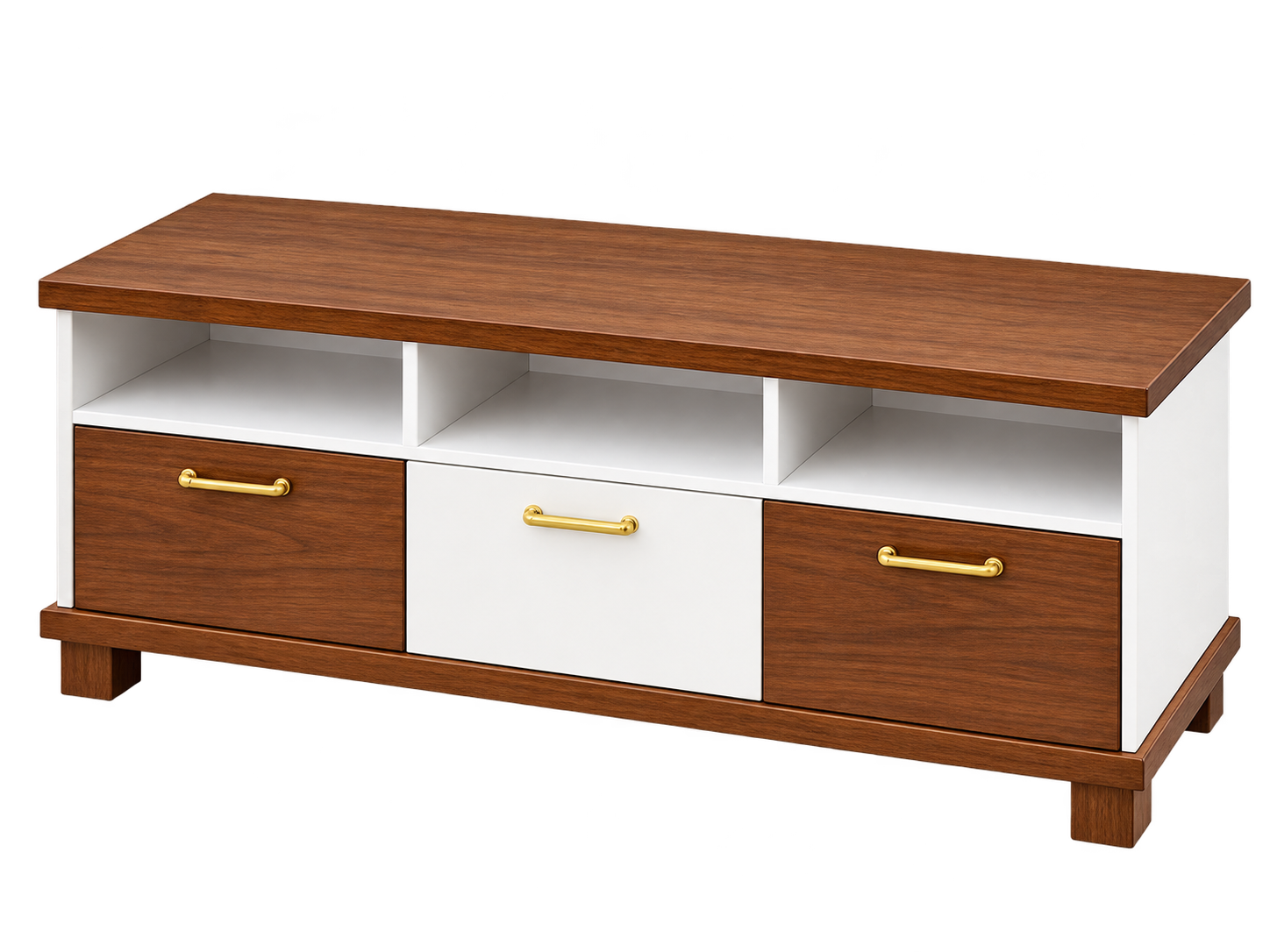 Storage Coffee Table